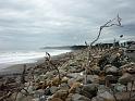 New_Zealand (442)